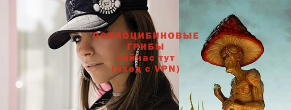 spice Армянск
