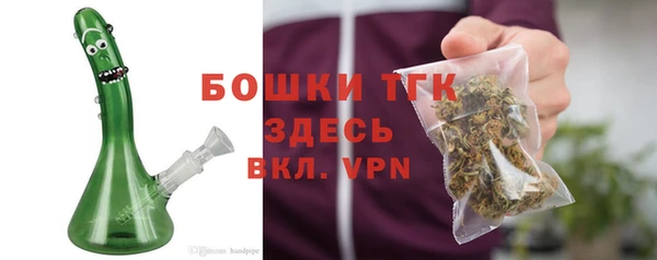 ПСИЛОЦИБИНОВЫЕ ГРИБЫ Арсеньев