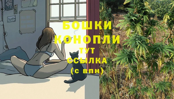 ПСИЛОЦИБИНОВЫЕ ГРИБЫ Арсеньев