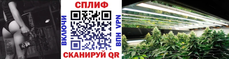 Бошки марихуана OG Kush  Сальск 